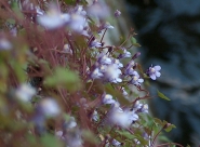 HPIM0662.JPG HPIM0662.JPG