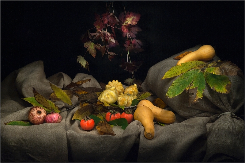 Clicca per l'immagine full size