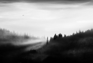 Nome File=Calenzano_Sommaia_DSC5435.jpg
Dimensione File=187KB
Dimensioni=1024x697
Data aggiunta=Gen 26, 2016 Calenzano_Sommaia_DSC5435.jpg