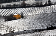 Inverno_in_Val_d_Orcia.jpg