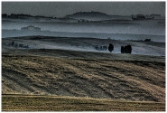 Orciano-4-.jpg Orciano-4-.jpg