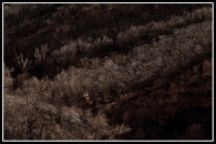 Nome File=Riflessi-sui-rami.jpg
Dimensione File=395KB
Dimensioni=900x600
Data aggiunta=Gen 28, 2009 Riflessi-sui-rami.jpg