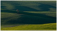 Solitario.jpg Solitario.jpg