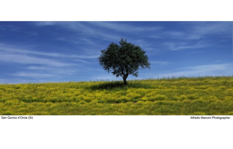 Clicca per l'immagine full size