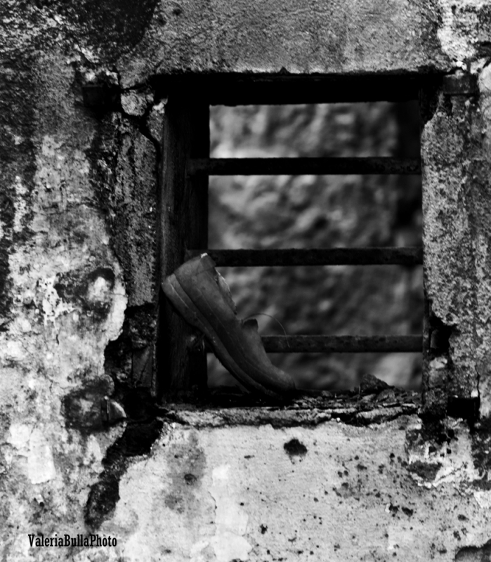Clicca per l'immagine full size