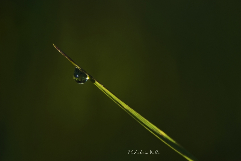 Clicca per l'immagine full size