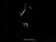 Profilo_di_gatto.jpg Profilo_di_gatto.jpg
