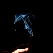 Nome File=Tabacco_Venere.jpg
Dimensione File=102KB
Dimensioni=1190x1200
Data aggiunta=Feb 01, 2018 Tabacco_Venere.jpg