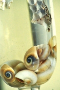 Filename=concentrato_di_mare.jpg
Filesize=443KB
Dimensions=667x1000
Date added=Oct 29, 2019 concentrato_di_mare.jpg