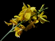 Nome File=nella_luce.JPG
Dimensione File=172KB
Dimensioni=800x600
Data aggiunta=Mag 18, 2008 nella_luce.JPG