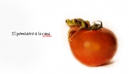 pomodoro_e_rana.jpg pomodoro_e_rana.jpg