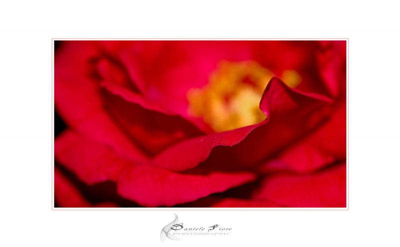 Clicca per l'immagine full size