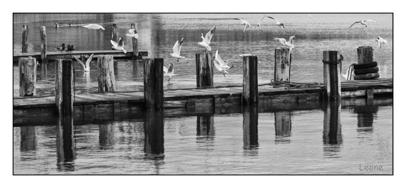 Clicca per l'immagine full size