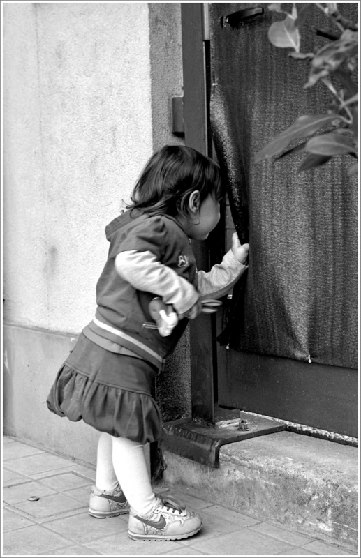 Clicca per l'immagine full size