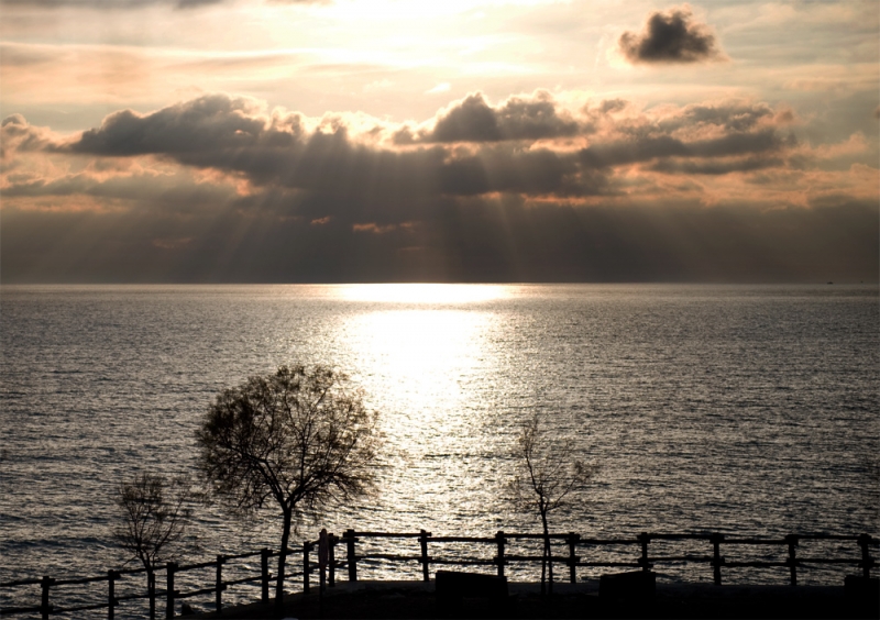 Clicca per l'immagine full size