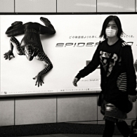 Spider_web.jpg Spider_web.jpg