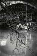 Nome File=tiber_web.jpg
Dimensione File=256KB
Dimensioni=543x815
Data aggiunta=Lug 23, 2011 tiber_web.jpg
