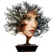 Nome File=wonderful_plant.jpg
Dimensione File=175KB
Dimensioni=900x900
Data aggiunta=Lug 21, 2014 wonderful_plant.jpg