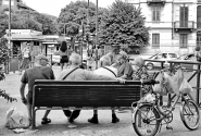 Corso_Racconigi,_aspettando_Ferragosto_2.jpg