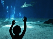 Nome File=Genova,_Acquario.jpg
Dimensione File=408KB
Dimensioni=1024x761
Data aggiunta=Gen 19, 2017 Genova,_Acquario.jpg