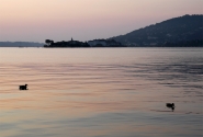 Lago_Maggiore_2020,_138.jpg