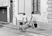 Via_Martignana,_agosto.jpg Via_Martignana,_agosto.jpg