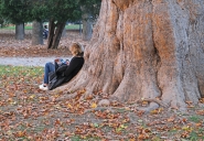 Filename=autunno_Tesoriera_14_bis.jpg
Filesize=524KB
Dimensions=1024x714
Date added=Nov 13, 2020 autunno_Tesoriera_14_bis.jpg