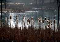 Nome File=pellerina.jpg
Dimensione File=197KB
Dimensioni=800x557
Data aggiunta=Mar 03, 2009 pellerina.jpg