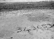 Nome File=spiaggia.jpg
Dimensione File=386KB
Dimensioni=850x617
Data aggiunta=Apr 28, 2008 spiaggia.jpg