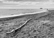 Nome File=spiaggia_e_isola.jpg
Dimensione File=471KB
Dimensioni=1024x728
Data aggiunta=Apr 08, 2017 spiaggia_e_isola.jpg