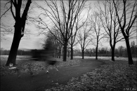 Nome File=ghost_knight_best.jpg
Dimensione File=284KB
Dimensioni=800x534
Data aggiunta=Gen 15, 2009 ghost_knight_best.jpg