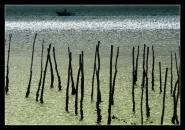 Arcachon.jpg Arcachon.jpg