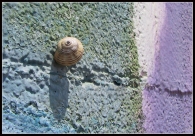 MICRO_Una_casetta_al_mare.jpg MICRO_Una_casetta_al_mare.jpg
