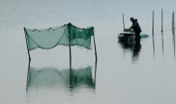 Nome File=MICRO_pescatore.jpg
Dimensione File=271KB
Dimensioni=800x478
Data aggiunta=Mar 03, 2009 MICRO_pescatore.jpg