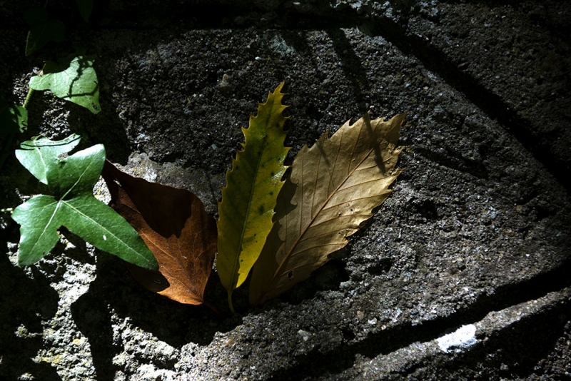 Clicca per l'immagine full size