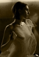 _D301328.jpg