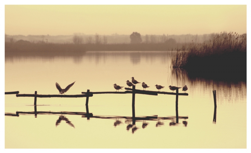 Clicca per l'immagine full size