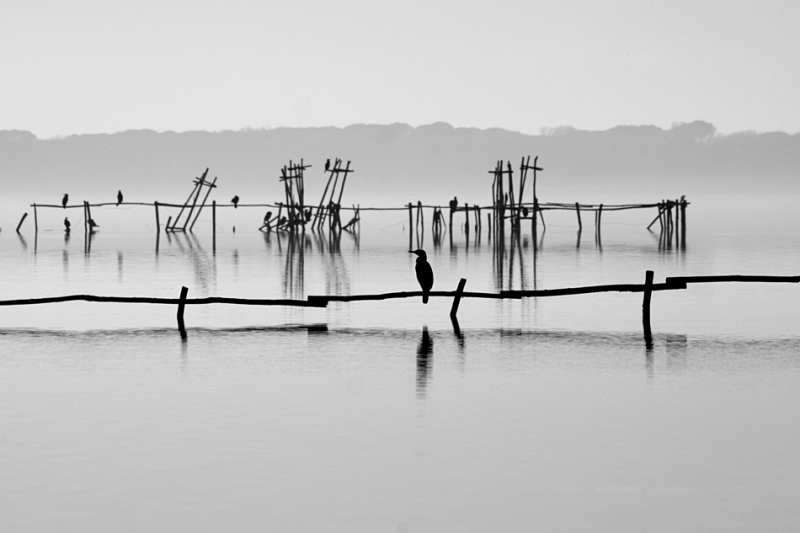 Clicca per l'immagine full size