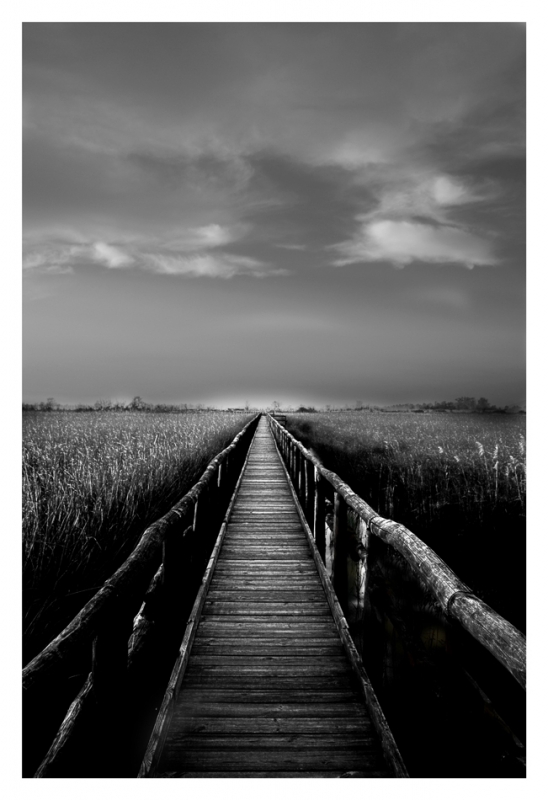 Clicca per l'immagine full size