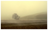 Nome File=nebbia---rid.jpg
Dimensione File=328KB
Dimensioni=800x493
Data aggiunta=Giu 10, 2008 nebbia---rid.jpg