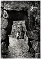Nome File=nuraghe.jpg
Dimensione File=393KB
Dimensioni=521x750
Data aggiunta=Apr 02, 2009 nuraghe.jpg