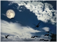 volo-verso-la-luna.jpg volo-verso-la-luna.jpg