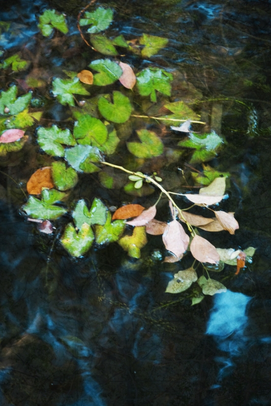 Clicca per l'immagine full size