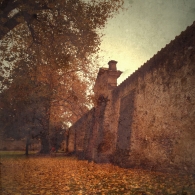 Nome File=Autunno-lucchese.jpg
Dimensione File=386KB
Dimensioni=800x800
Data aggiunta=Nov 18, 2009 Autunno-lucchese.jpg