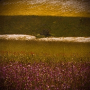 Piana-di-Castelluccio-res.jpg