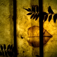 The_Soul_Cages.jpg