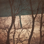 Nome File=Winter_s-night.jpg
Dimensione File=266KB
Dimensioni=900x900
Data aggiunta=Mar 30, 2011 Winter_s-night.jpg