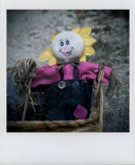 Nome File=mr_sunflower.jpg
Dimensione File=344KB
Dimensioni=700x855
Data aggiunta=Set 28, 2011 mr_sunflower.jpg