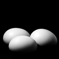 Nome File=EGGS-BN.jpg
Dimensione File=84KB
Dimensioni=640x640
Data aggiunta=Dic 15, 2008 EGGS-BN.jpg