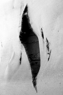 Nome File=A13.jpg
Dimensione File=184KB
Dimensioni=413x619
Data aggiunta=Dic 23, 2009 A13.jpg